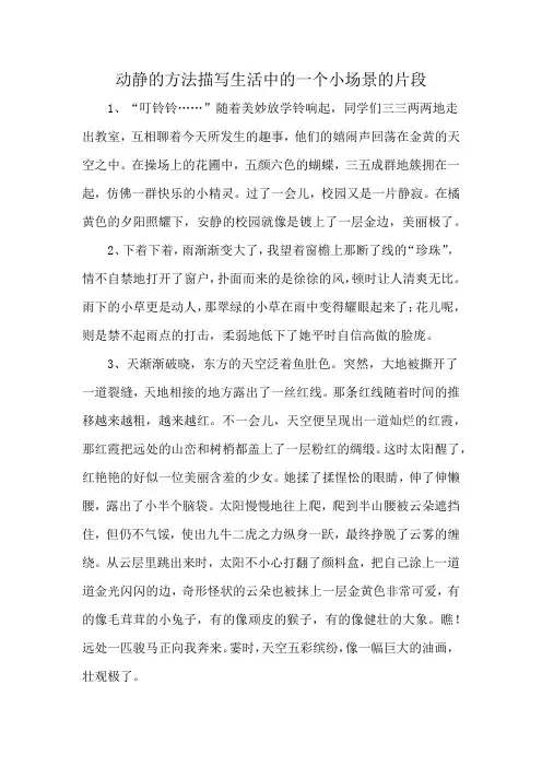动静的方法描写生活中的一个小场景的片段