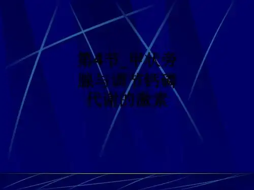 第4节_甲状旁腺与调节钙磷代谢的激素ppt课件