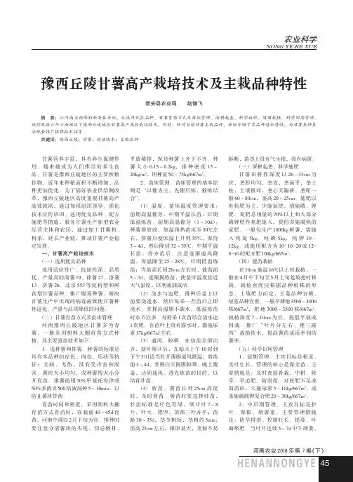 豫西丘陵甘薯高产栽培技术及主栽品种特性