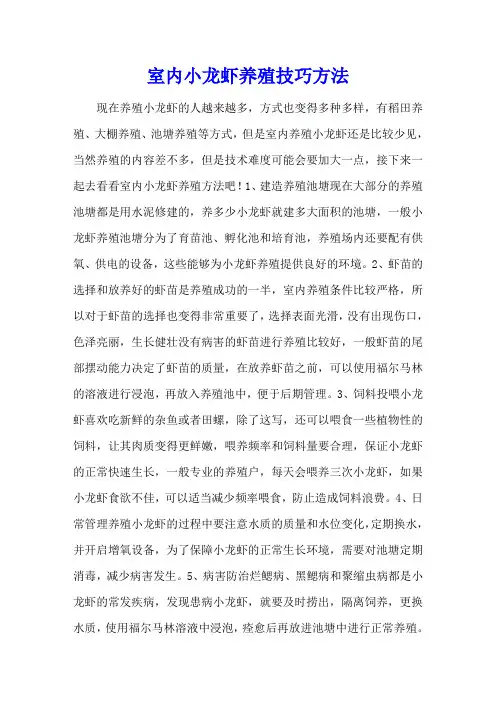 室内小龙虾养殖技巧方法