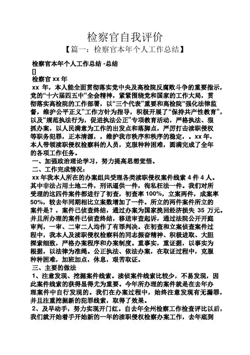 检察官自我评价