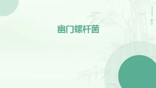 幽门螺杆菌PPTppt