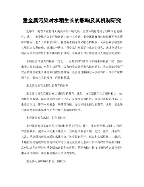 重金属污染对水稻生长的影响及其机制研究