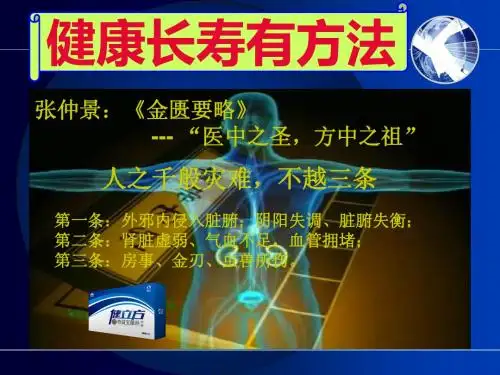 秦2013虫草菌丝