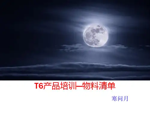 T6产品培训—物料清单1