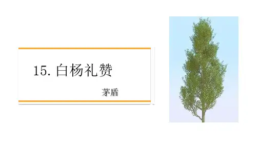《白杨礼赞》ppt课件