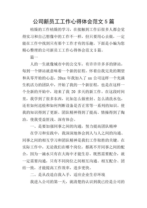 公司新员工工作心得体会范文5篇