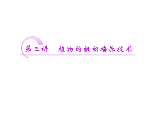 植物的组织培养技术ppt