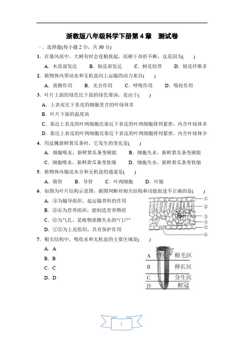 浙教版八年级科学下册第四章测试卷(含答案解析)