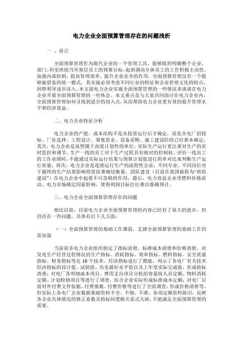 电力企业全面预算管理存在的问题浅析