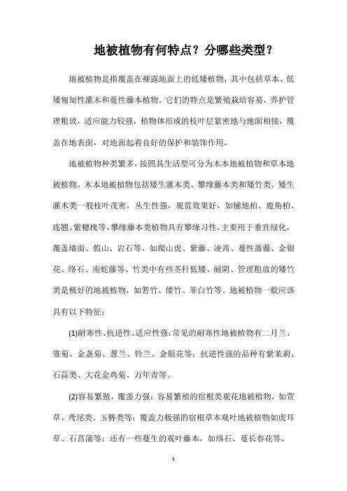 地被植物有何特点？分哪些类型？