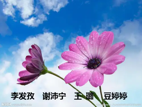 _宿根花卉