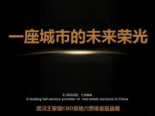 武汉王家墩CBD宗地六整体发展战略98p