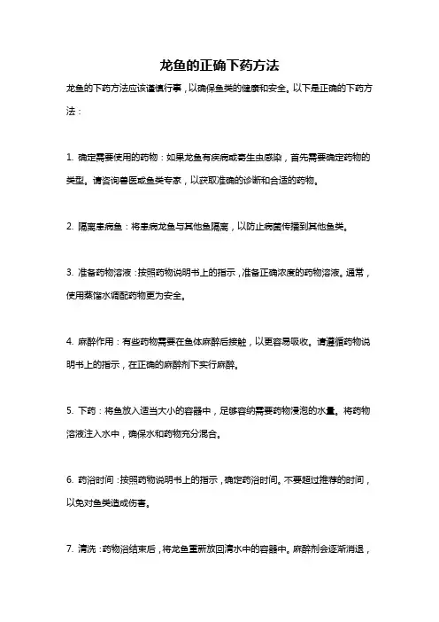 龙鱼的正确下药方法