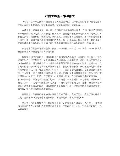 我的青春里有感动作文