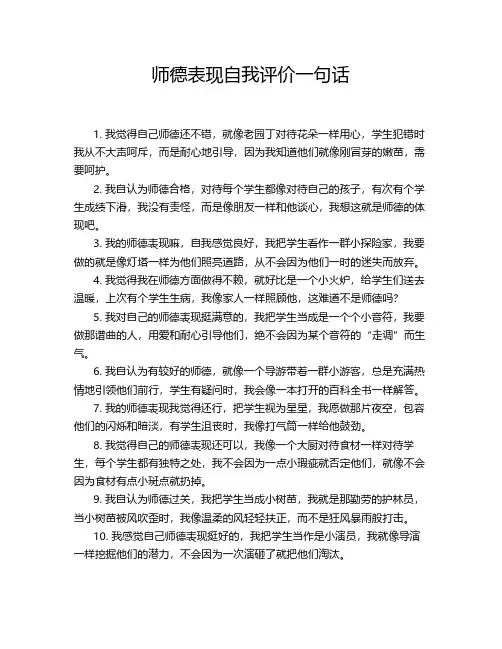 师德表现自我评价一句话