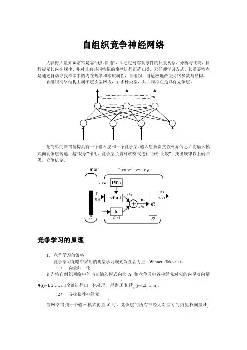 自组织竞争神经网络
