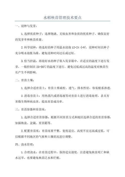 水稻秧苗管理技术要点