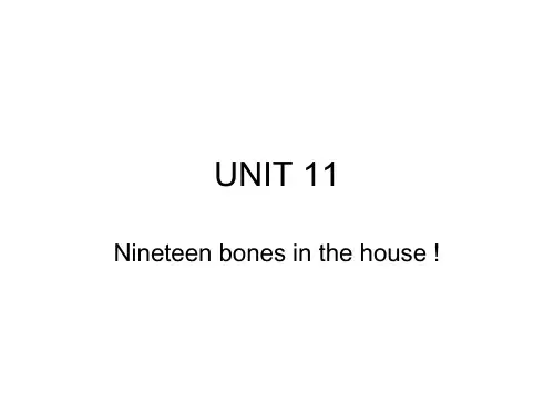 新概念英语青少版入门B_Unit_11课件(共11页)