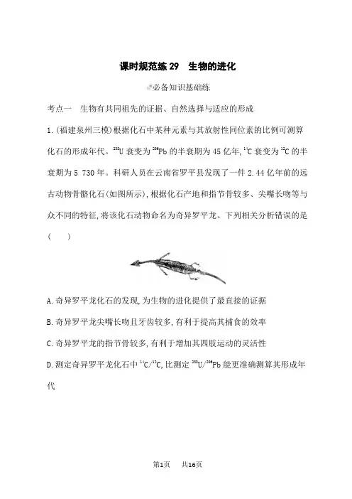 人教版高考生物学一轮总复习课后习题 第7单元 生物的变异和进化 课时规范练29 生物的进化