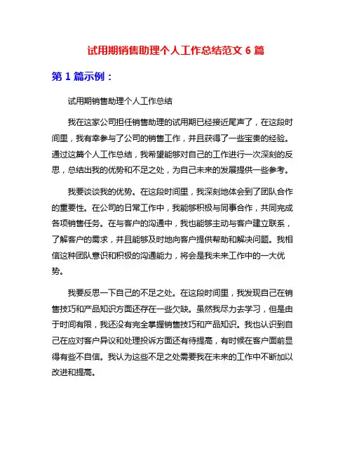 试用期销售助理个人工作总结范文6篇