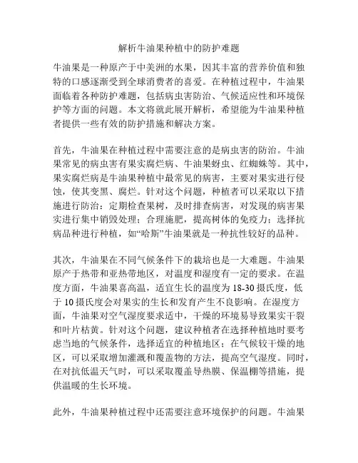 解析牛油果种植中的防护难题