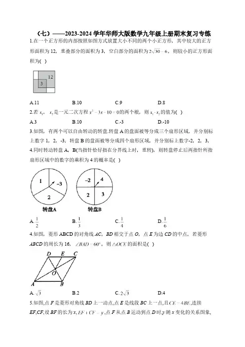 华师大版2023-2024学年数学九年级上册期末复习专练(7)及答案
