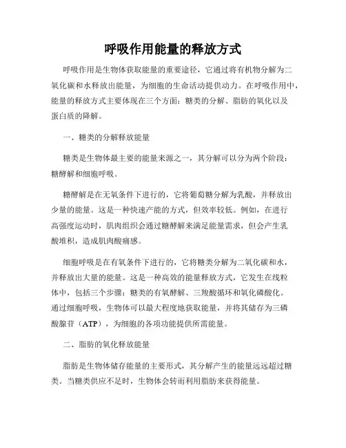 呼吸作用能量的释放方式