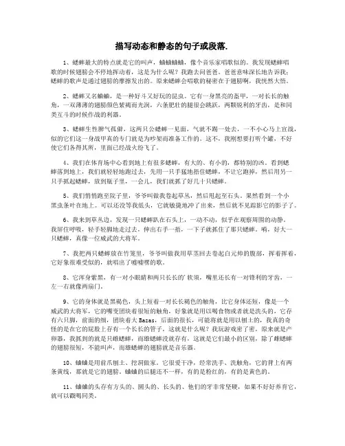描写动态和静态的句子或段落.