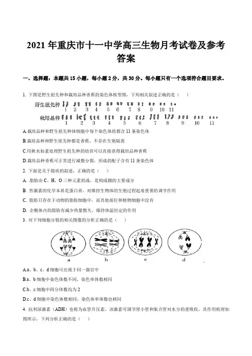 2021年重庆市十一中学高三生物月考试卷及参考答案