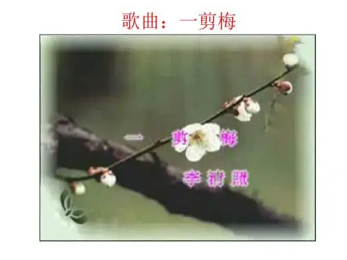 《一剪梅》公开课课件