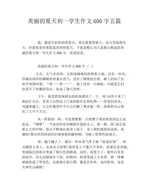 美丽的夏天初一学生作文600字五篇