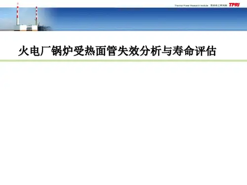 锅炉管失效分析与寿命评估