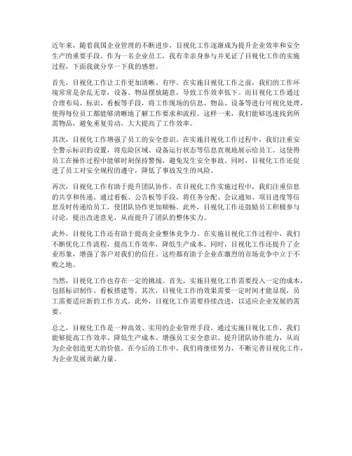 目视化工作感想