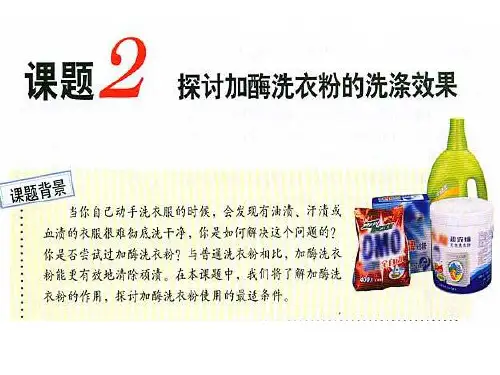 探讨加酶洗衣粉的洗涤效果-课件