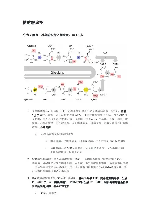 生物化学复习笔记-糖酵解途径