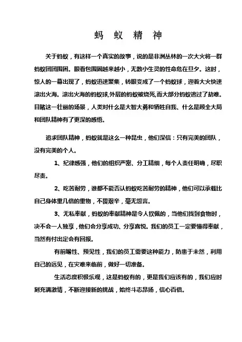 蚂蚁精神