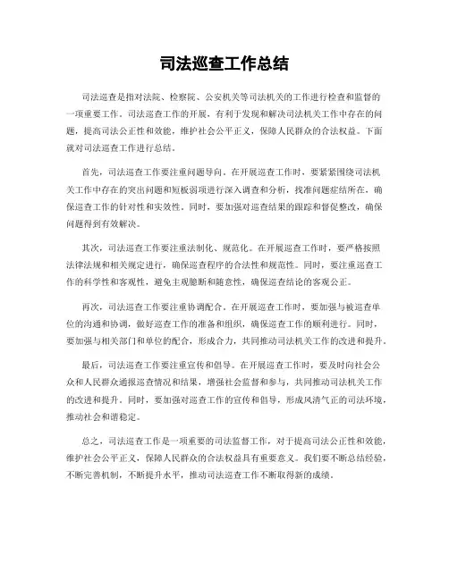 司法巡查工作总结