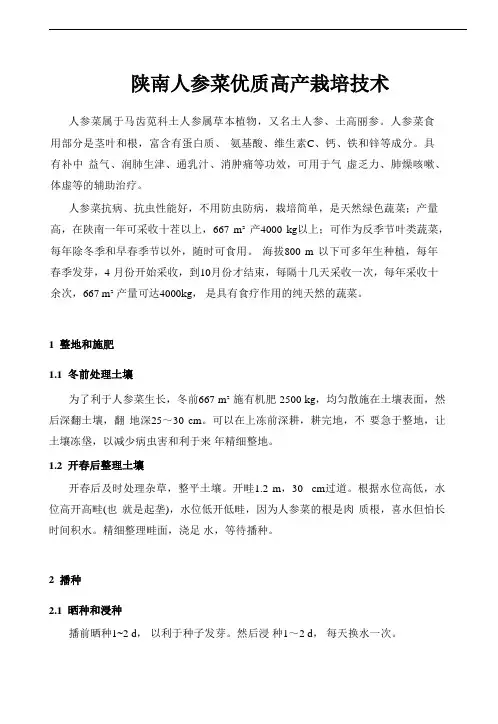 特色蔬菜-人参菜优质高产栽培技术