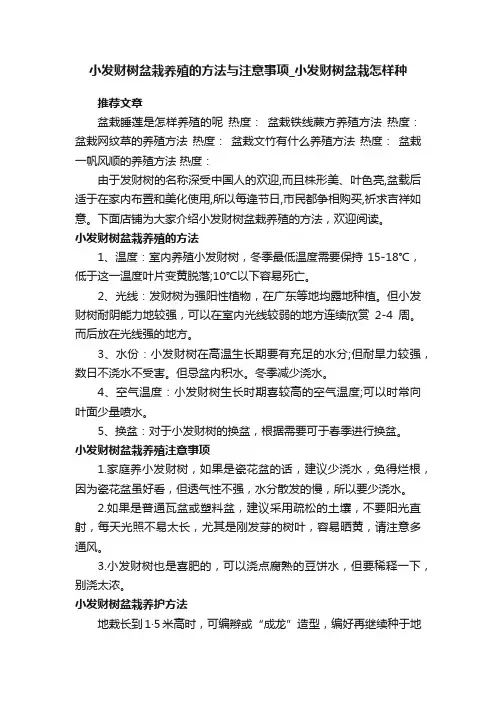 小发财树盆栽养殖的方法与注意事项_小发财树盆栽怎样种
