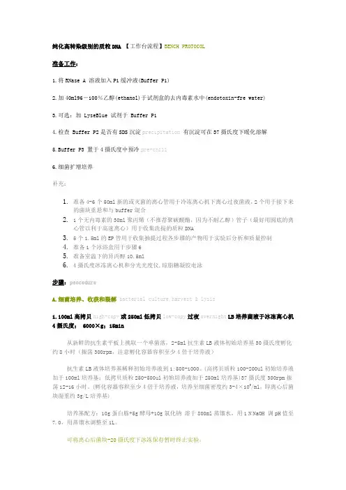 QIAGEN 中文版去内毒素大提试剂盒