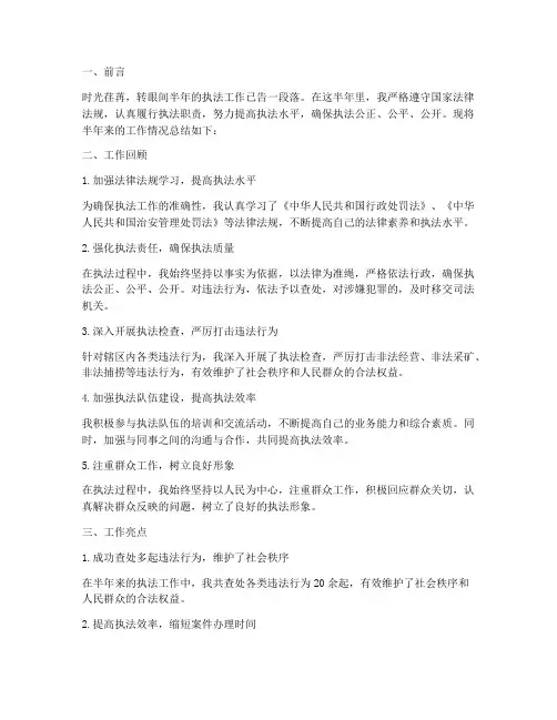 执法类半年工作总结