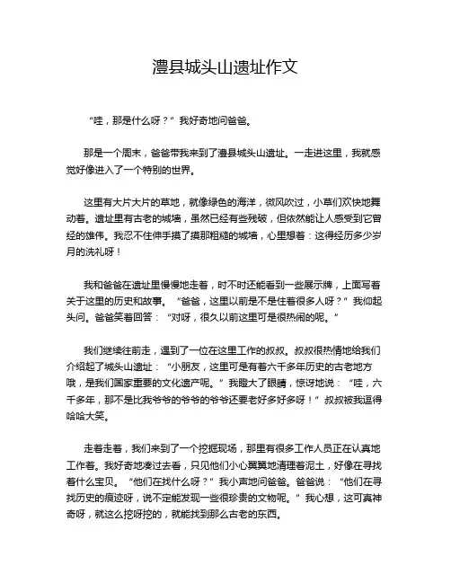 澧县城头山遗址作文
