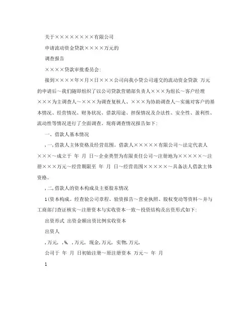 公司类贷款调查报告范文格式