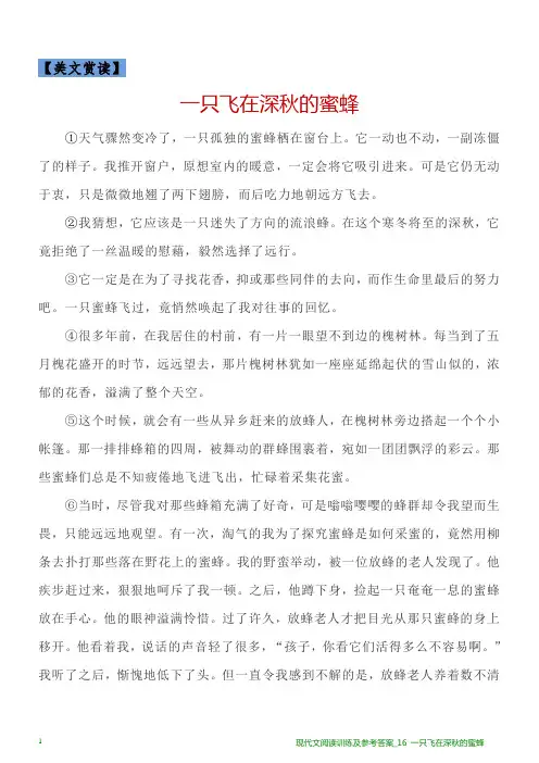 现代文阅读训练及参考答案_16 一只飞在深秋的蜜蜂