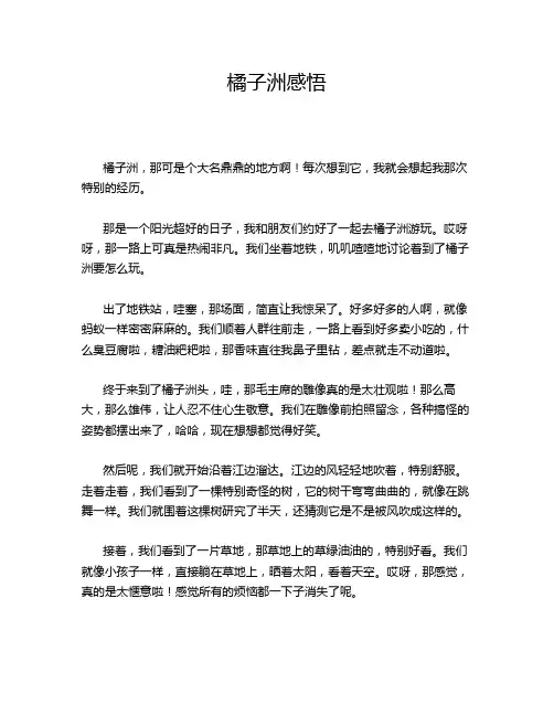 橘子洲感悟
