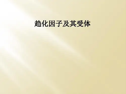 趋化因子及其受体