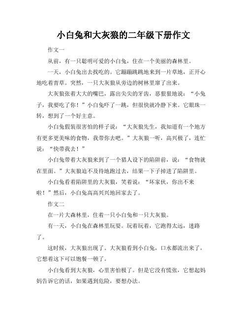 小白兔和大灰狼的二年级下册作文
