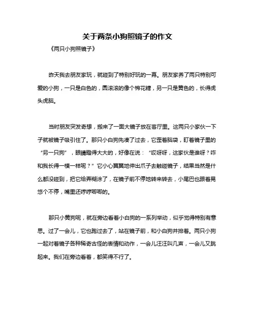 关于两条小狗照镜子的作文