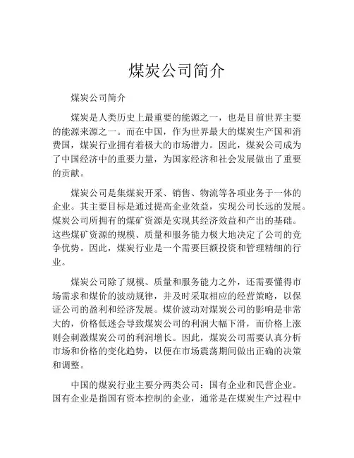 煤炭公司简介